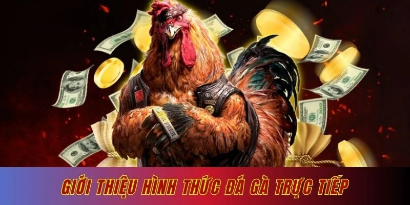 Giới thiệu chung hình thức đá gà trực tiếp Ga179